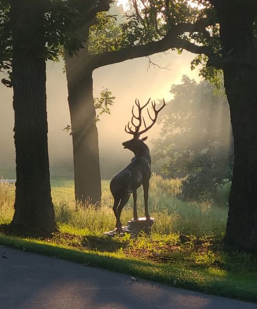 Elk on the Rock Head Turning Left Aluminum Outdoor Decor