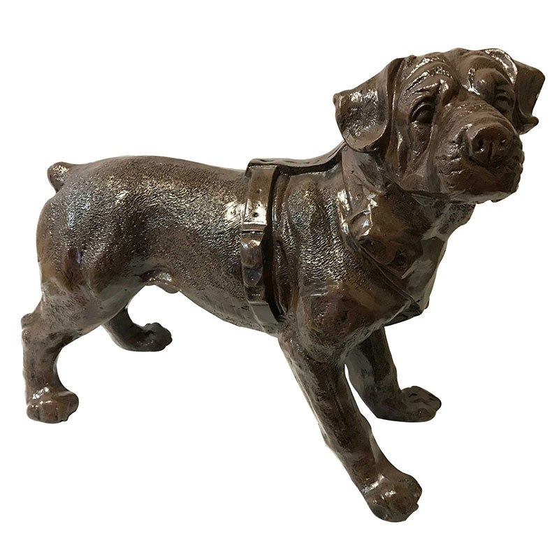 Rottweiler Puppy Aluminum Home Decor