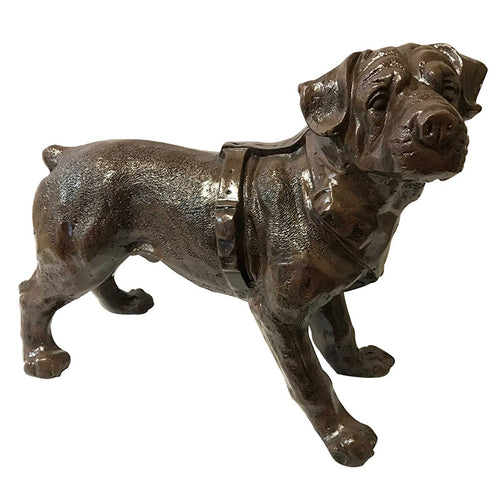 Rottweiler Puppy Aluminum Home Decor