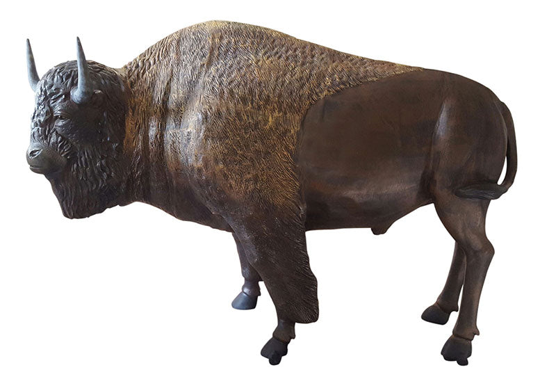 Buffalo, Bull & Cow