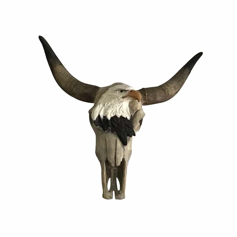 Custom Painted Skull with 3D Eagle Aluminum Wall Decor