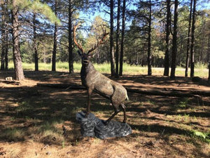 Elk on the Rock Head Turning Left in Natural Color Aluminum Outdoor Decor