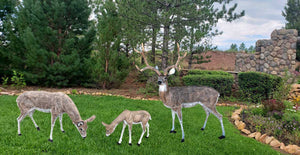 Family of Deer in Natural Color (Set D) Aluminum Garden Statues