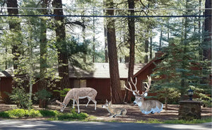 Family of Deer in Natural Color (Set F) Aluminum Garden Statues