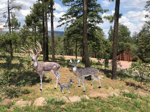 Family of Deer in Natural Color (Set I-Whitetail Buck) Aluminum Garden Statues