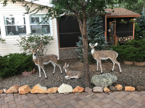 Family of Deer in Natural Color (Set B) Aluminum Garden Statues