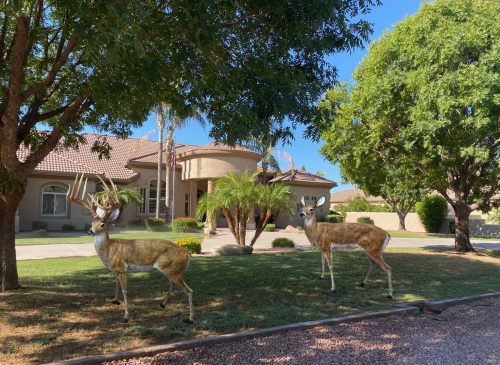Gorgeous Pair of Deer in Golden Color Aluminum Garden Statues