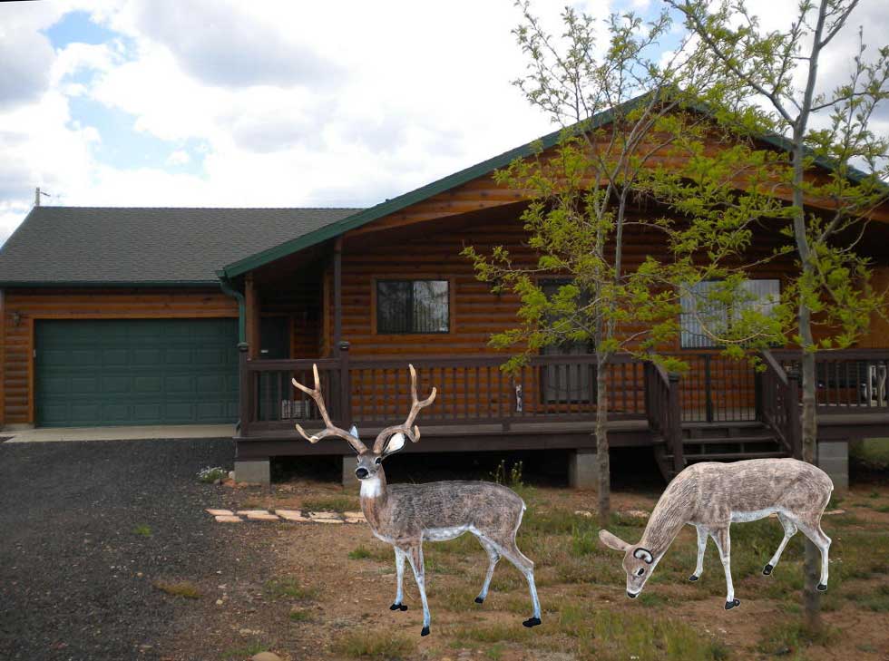 Standing Buck & Grazing Doe in Natural Color Aluminum Garden Statues