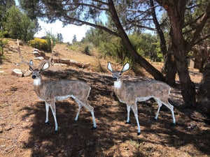 Realistic Looking Pair of Deer in Natural Color Aluminum Garden Statues