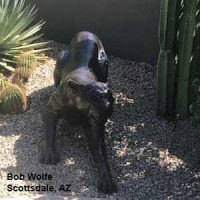 Cougar with no Base Aluminum Garden Statues
