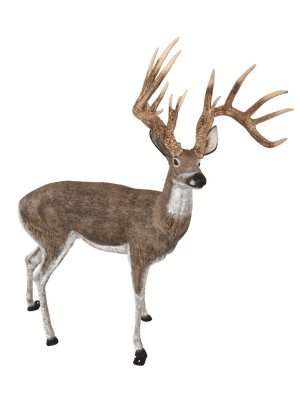 Life-like Looking Pair of Deer in Natural Color Aluminum Garden Statues