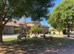 Family of Deer (Set D) Aluminum Garden Statues in Bronzed Finished Paint