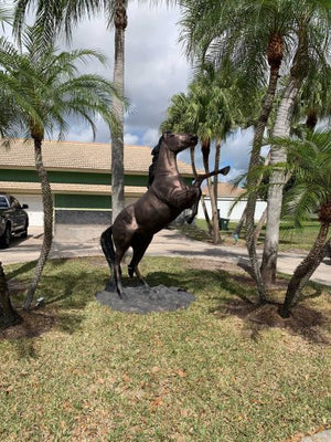 Rearing Mustang 9 Ft Aluminum Outdoor Statues in Bronzed Color
