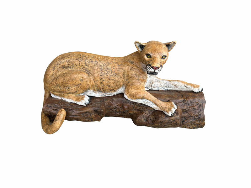 Cougar, Lion & Tiger