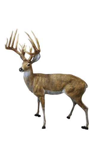 Gorgeous Pair of Deer in Golden Color Aluminum Garden Statues