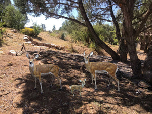 Family of Deer in Golden Color (Set H) Aluminum Garden Statues