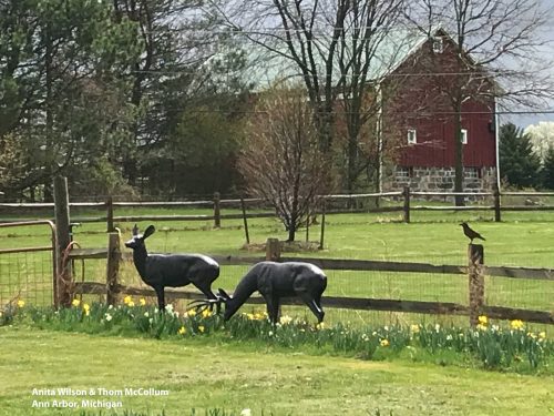 Large Deer Doe Aluminum Garden Statues