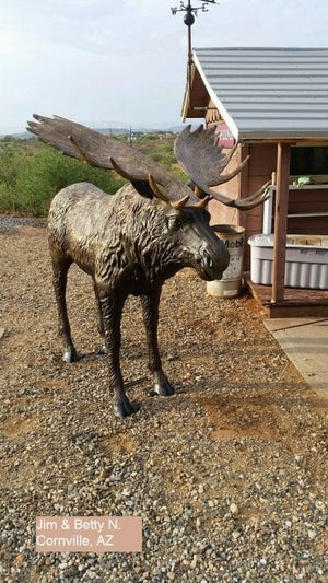 Life Size Moose Natural Colored Antlers Aluminum Outdoor Statues