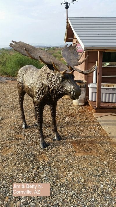 Life Size Moose Natural Colored Antlers Aluminum Outdoor Statues