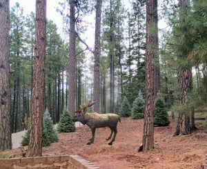 Life Size Moose Natural Colored Antlers Aluminum Outdoor Statues