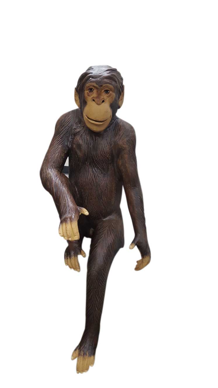 Gorilla & Monkey