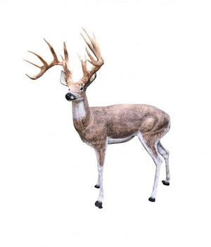Family of Deer in Natural Color (Set I-Whitetail Buck) Aluminum Garden Statues